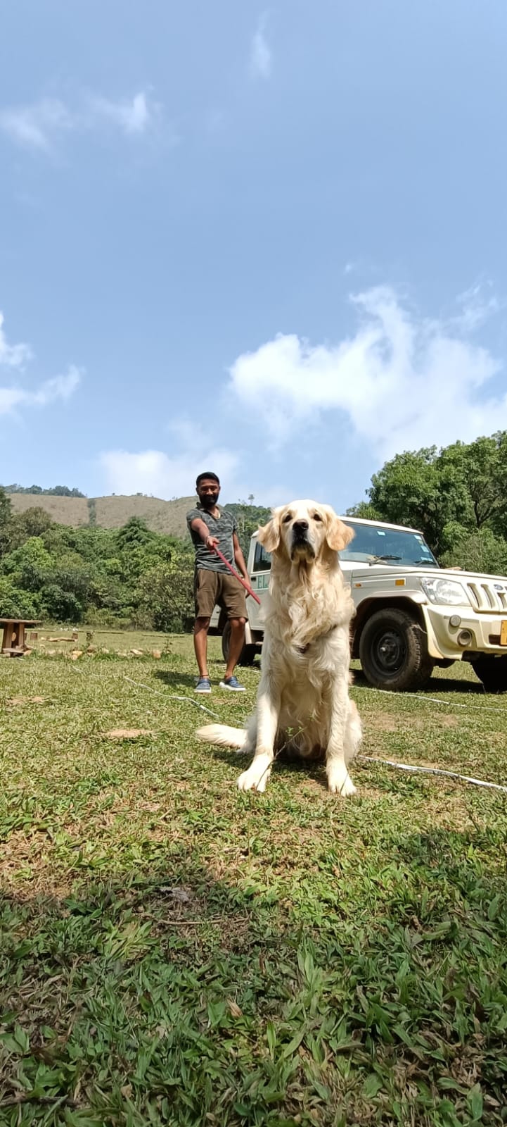 Pet Friendly Glamping #4
